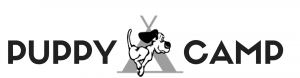 Puppy Camp